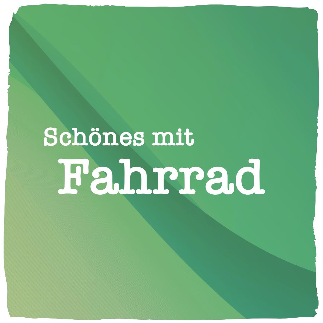 päfjes Artikel mit Fahrrad, MTB, Gravel, Rennrad