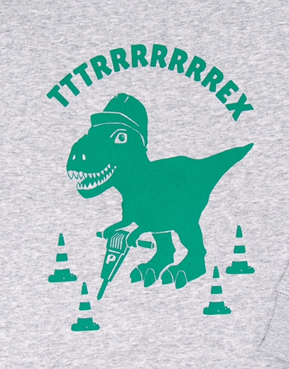 päfjes - Theo Tttrrrrex der Bauarbeiter Dino - Fair Wear Kinder Sweater - Grau/Grün