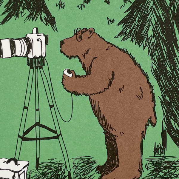 päfjes - Bär Bärnd Blitzbert beim Fotografieren im Wald - A6 Postkarte - Grün