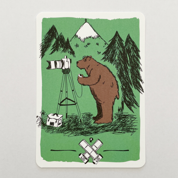 päfjes - Bär Bärnd Blitzbert beim Fotografieren im Wald - A6 Postkarte - Grün