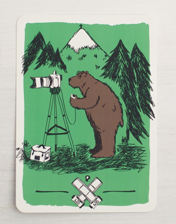 päfjes - Bär Bärnd Blitzbert beim Fotografieren - Postkarte