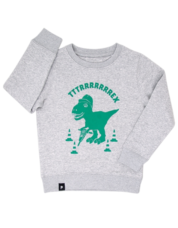 päfjes - Theo Tttrrrrex der Bauarbeiter Dino - Fair Wear Kinder Sweater - Grau/Grün