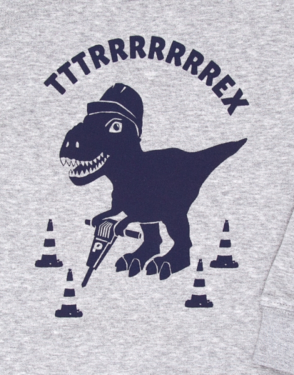 päfjes - Theo Tttrrrrex der Bauarbeiter Dino - Fair Wear Kinder Sweater - Grau/Grün